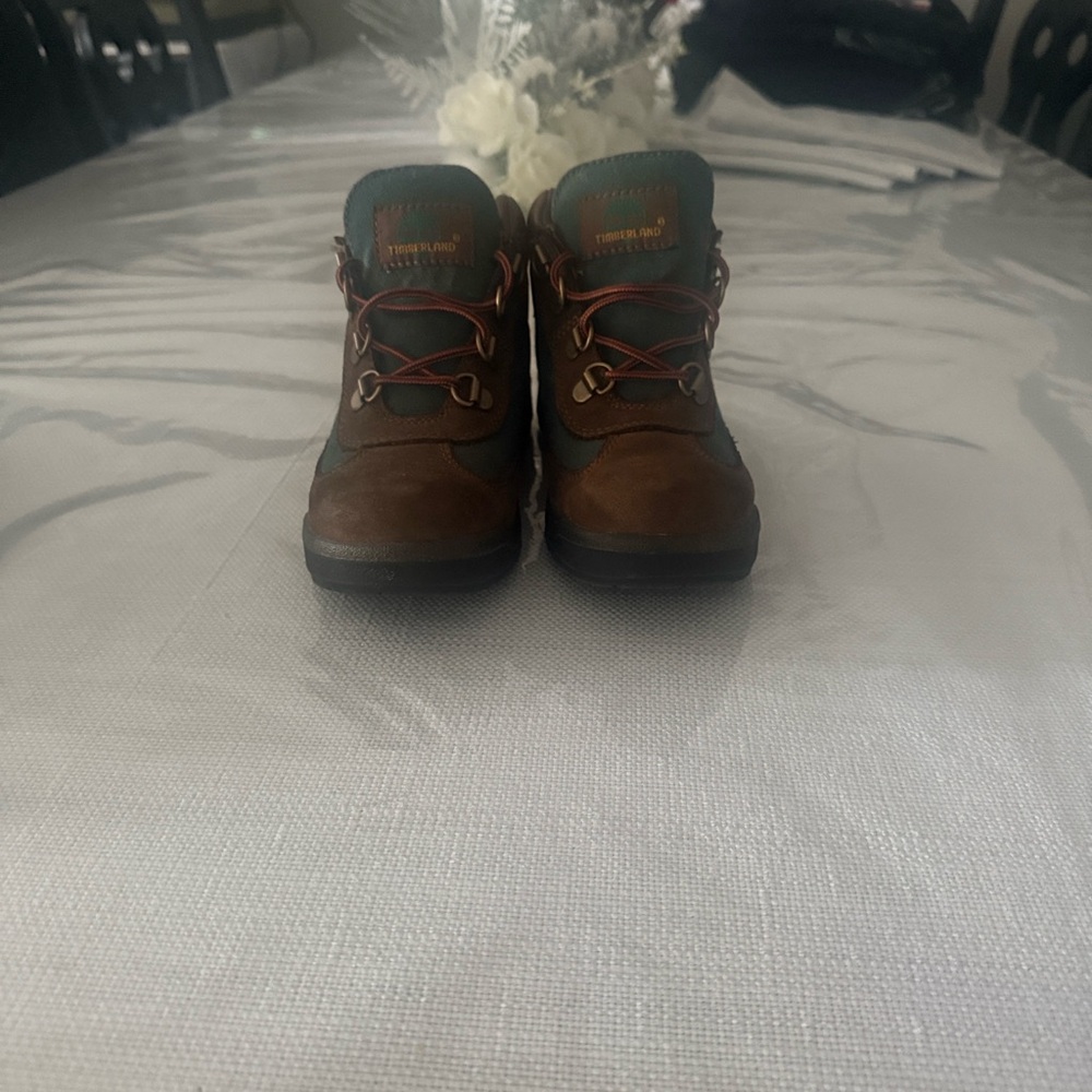 Timberland Brown and Teal Hiking Boots